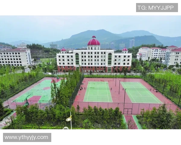 重庆网球队在洲际杯中的心理素质表现分析与启示